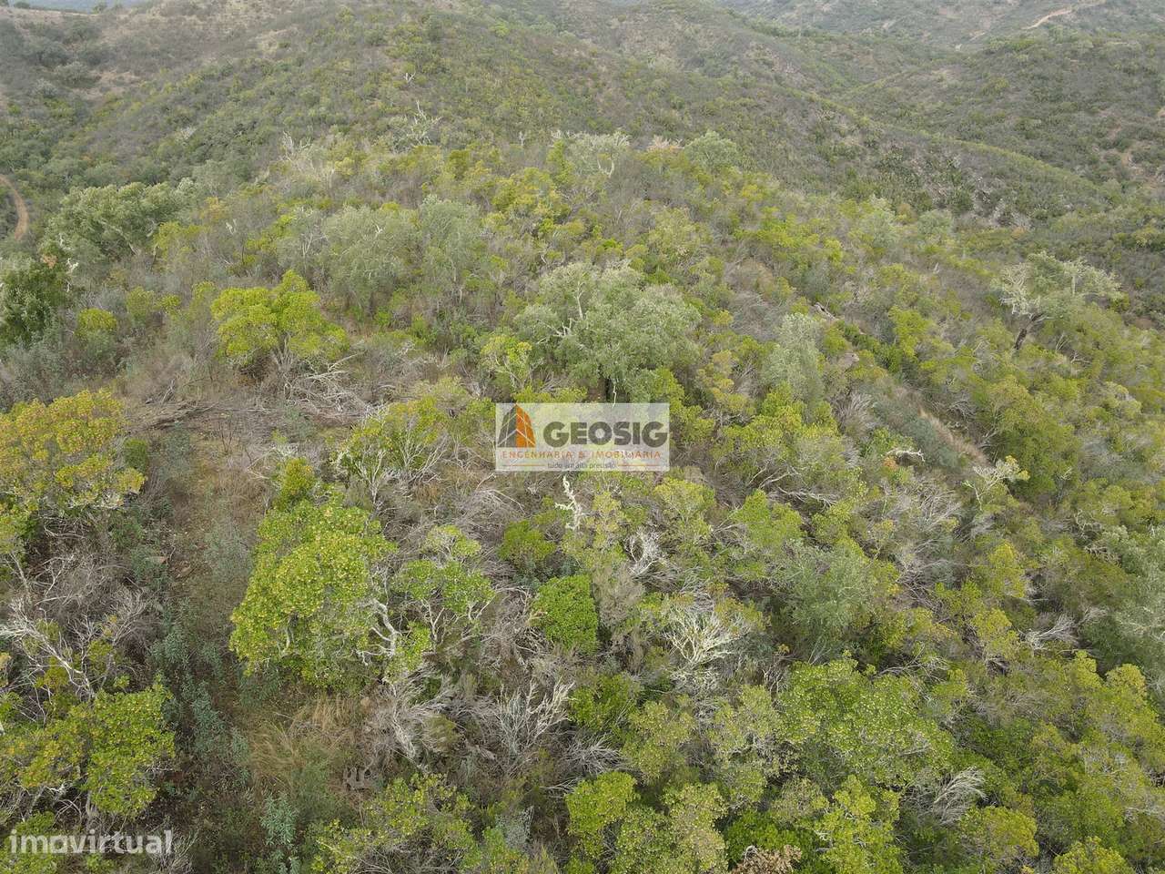 Terreno Rústico  Venda em São Barnabé,Almodôvar - Grande imagem: 5/31