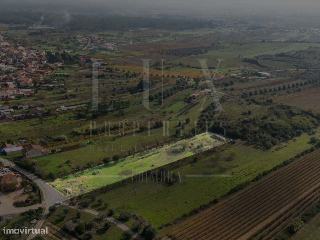 Terreno | Ventosa do Bairro, Mealhada-4