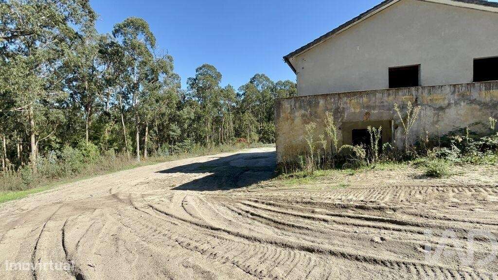 Casa T3 em Forjães de 530,00 m2 - Grande imagem: 4/29