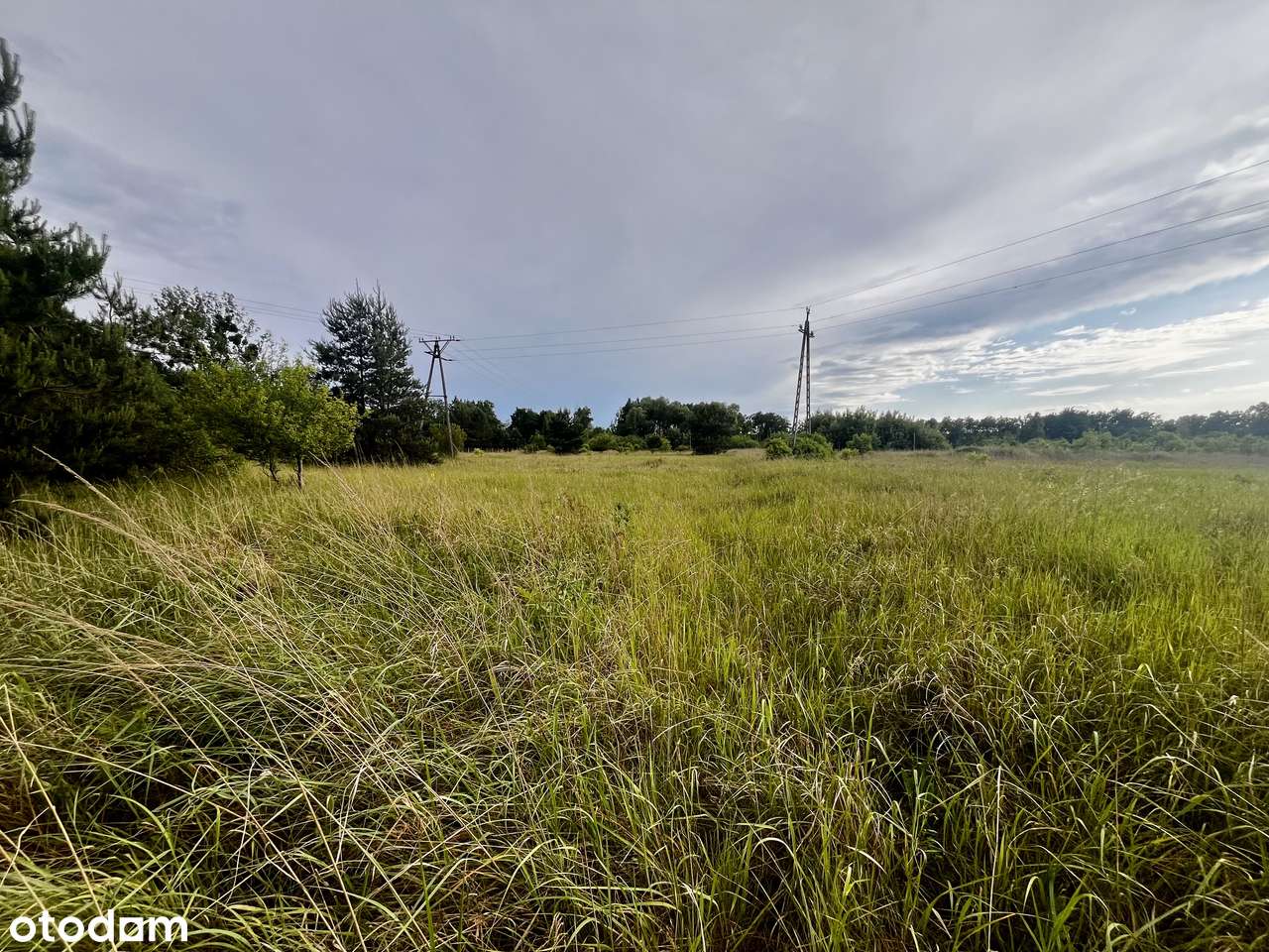 Działka mieszkalno-usługowa| 9232 m²| Wąsosz, powiat górowski - Pełny obrazek: 5/7