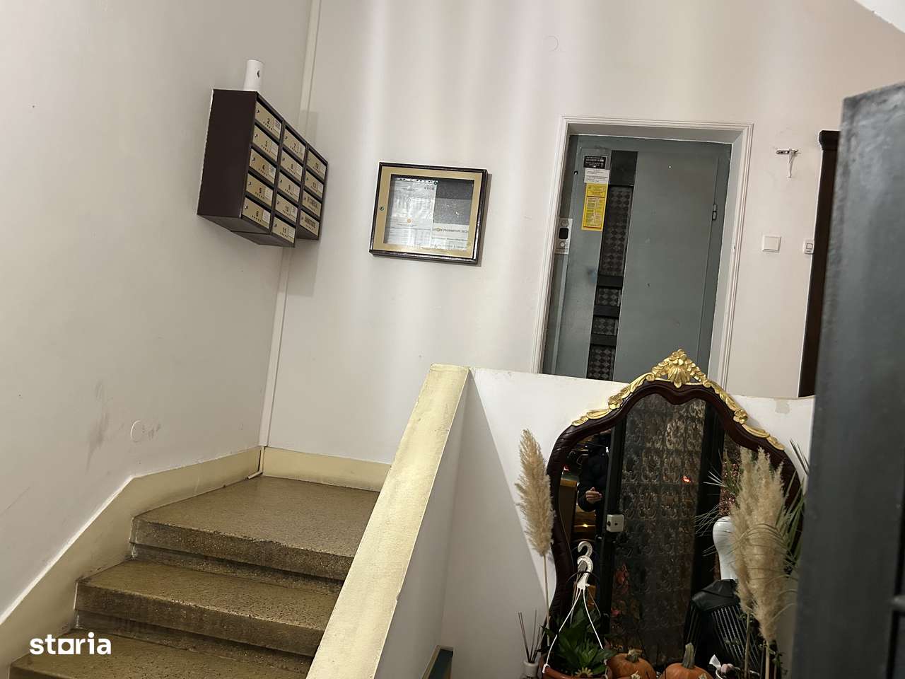 Garsoniera deosebita in vila cu lift situata in Floreasca/Ceaikovvski-4