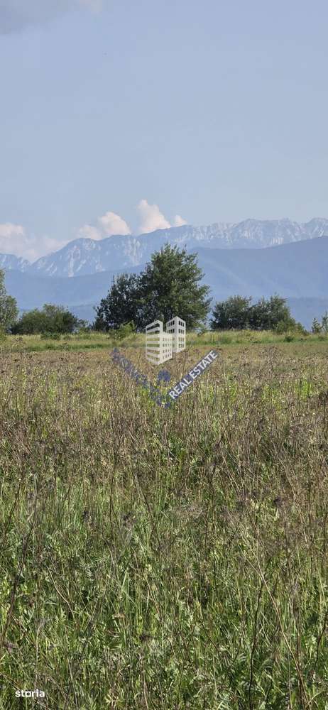 Loturi pentru construcție case - comision 0%-1