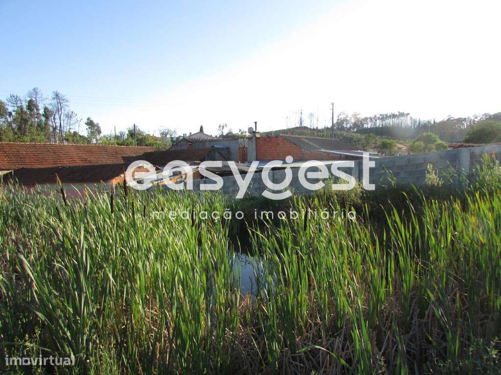 Terreno misto com 30 metros de frente em Aveiro (Carregal) - Grande imagem: 5/10
