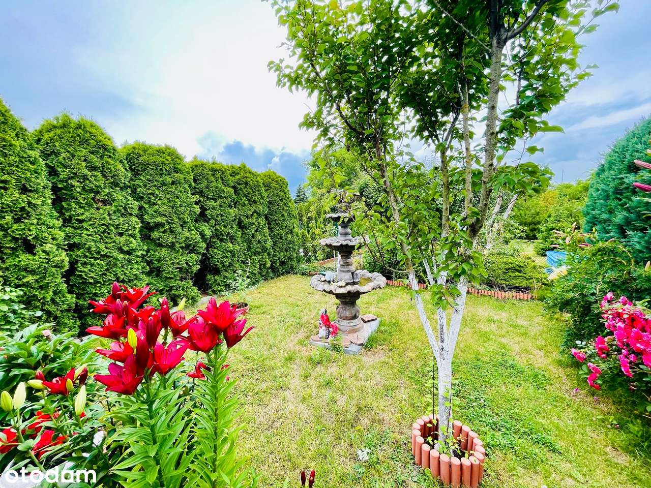 Działka ROD | Urokliwa i zadbana | Z całym wyposażeniem!-7