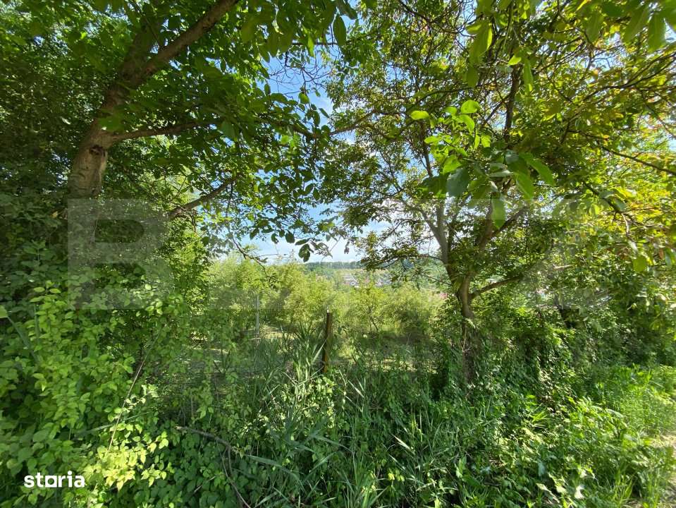 Teren intravilan de vanzare – 30 ari – Zona Podul Jelnei – prive - Imagine principală: 4/4