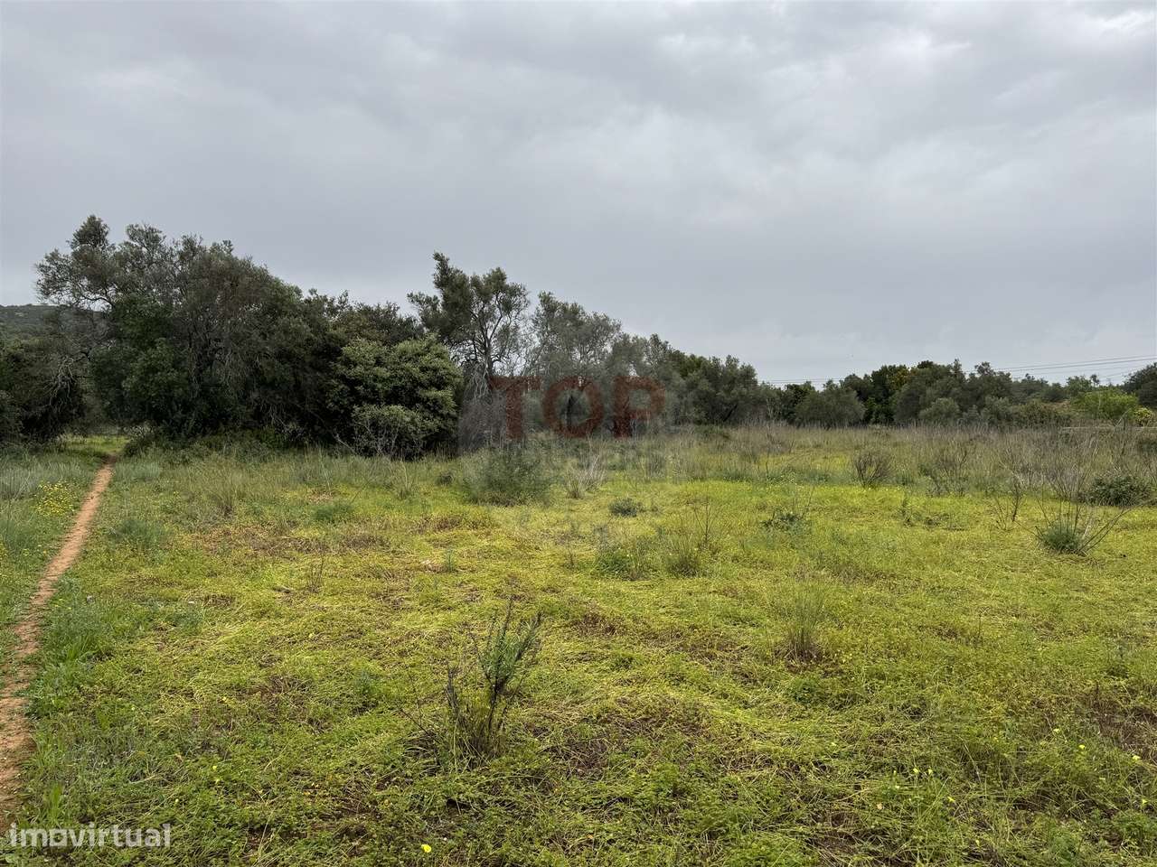 Terreno Rústico - Grande imagem: 3/9