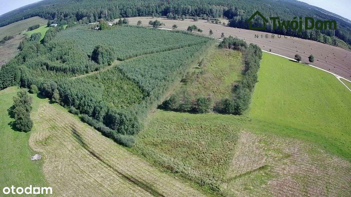 Działki przy lesie - Pełny obrazek: 2/6