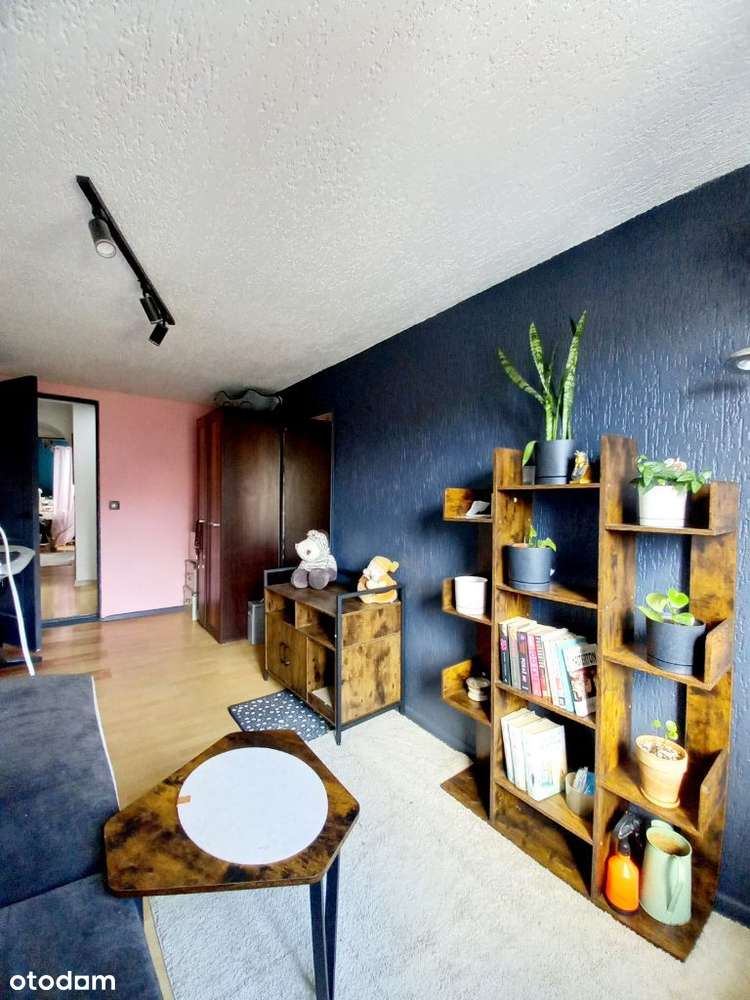 Sprzedam obiekt mieszkalno - usługowy w Centrum-6