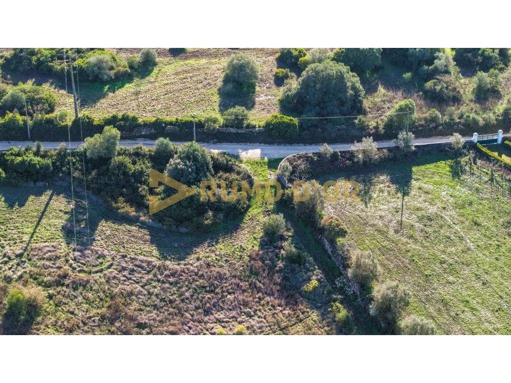 Quinta para Venda com Grande Potencial em Castanheira do Ribatejo-47