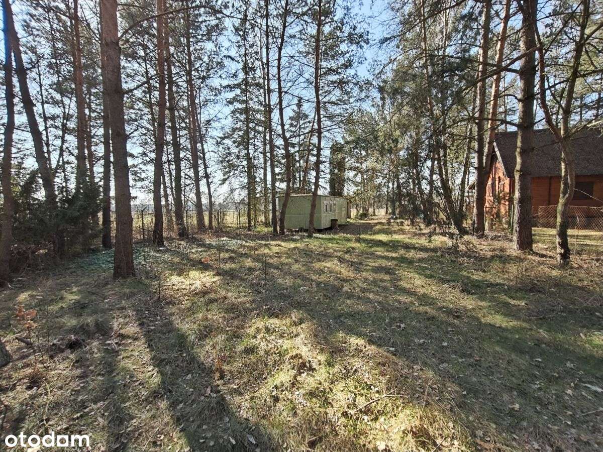 Urokliwa działka budowlana przy lesie - Pełny obrazek: 5/12