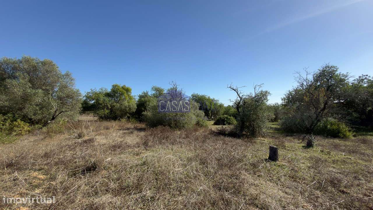 Terreno Rústico plano a 10min de Olhão. Oportunidade-3