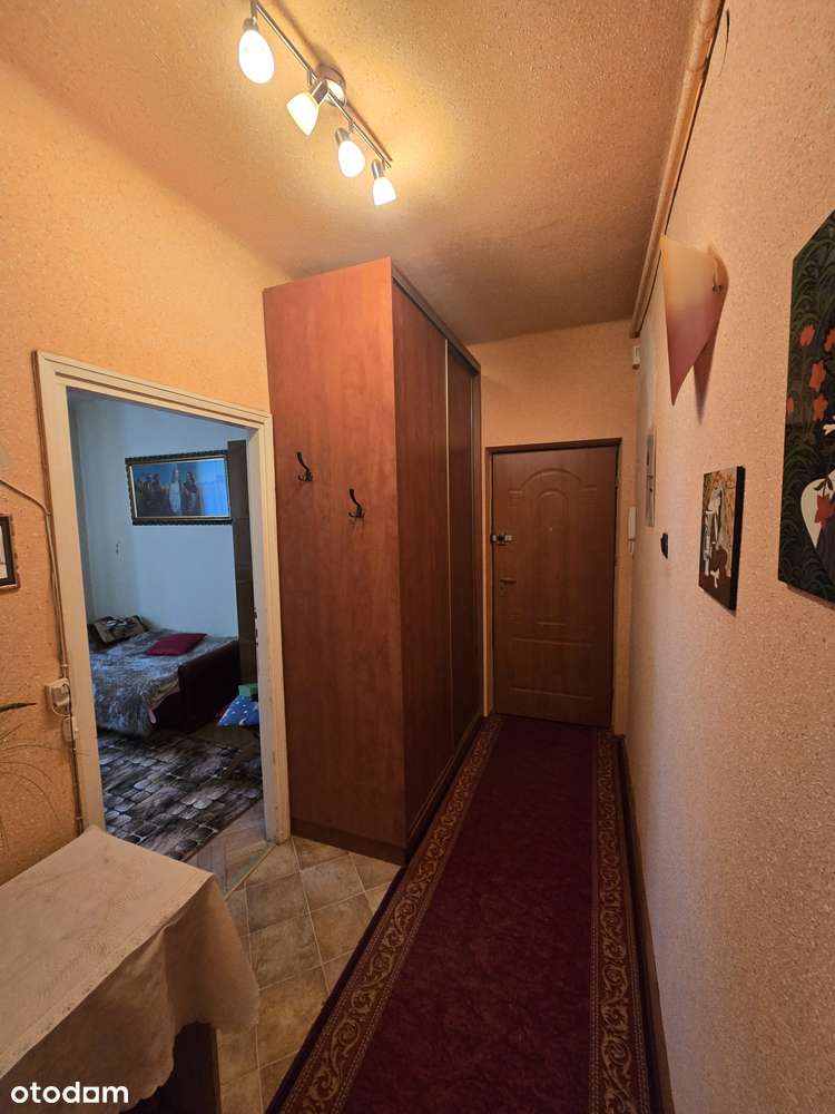 Dwustronne, ciepłe, słoneczne mieszkanie. - Pełny obrazek: 3/10