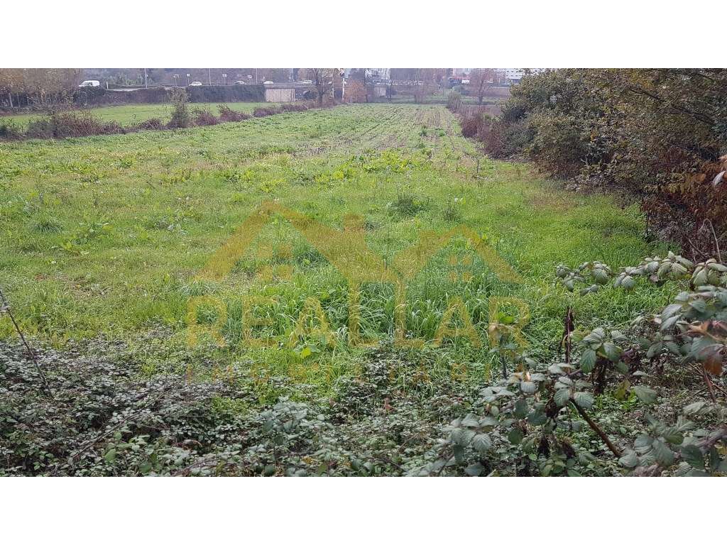 Terreno em Ribeirão - Vila Nova de Famalicão - Grande imagem: 4/4
