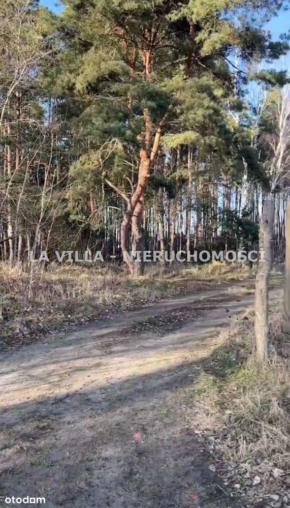 Rezydencja pod lasem- Strzyżewice, Leszno - Pełny obrazek: 5/13