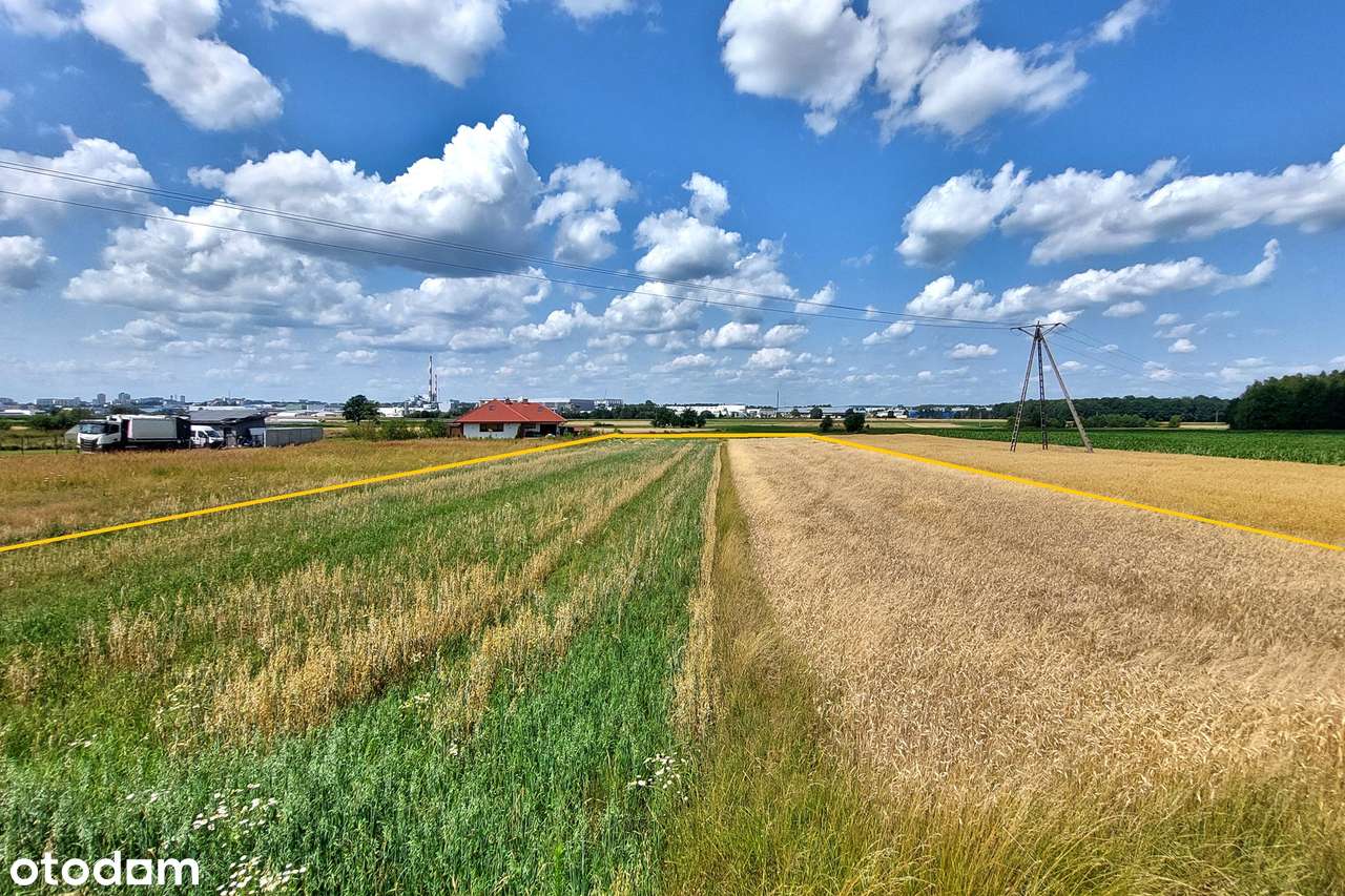 Duża działka budowlana z MPZP - Cielmice - Pełny obrazek: 2/7