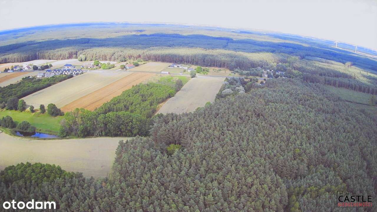 Duży grunt inwestycyjny - Pełny obrazek: 4/10