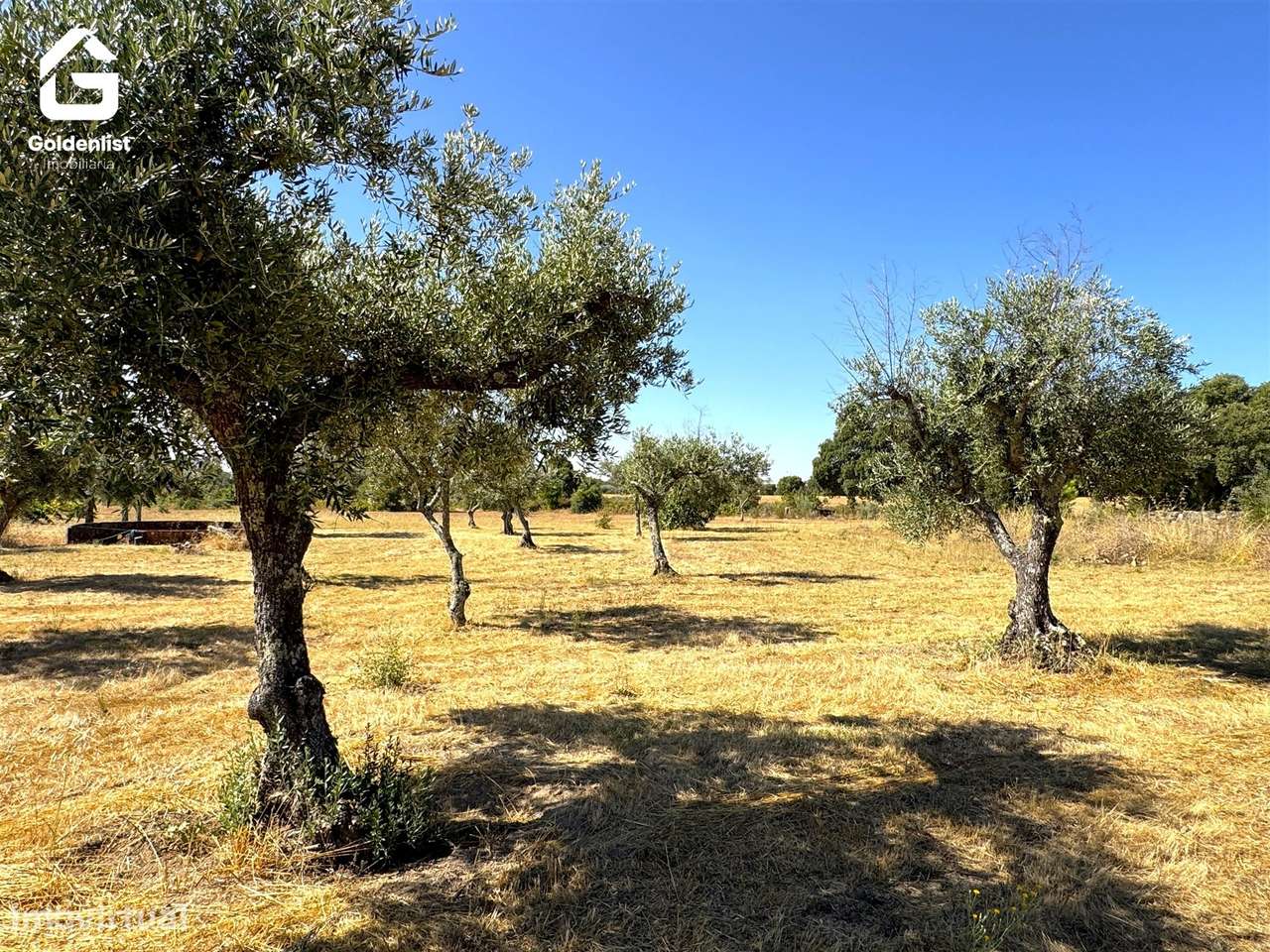 Quinta  Venda em Lardosa,Castelo Branco-25