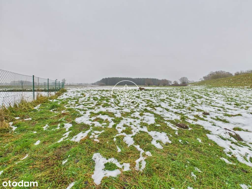 Gospodarstwo Pędzewo-12