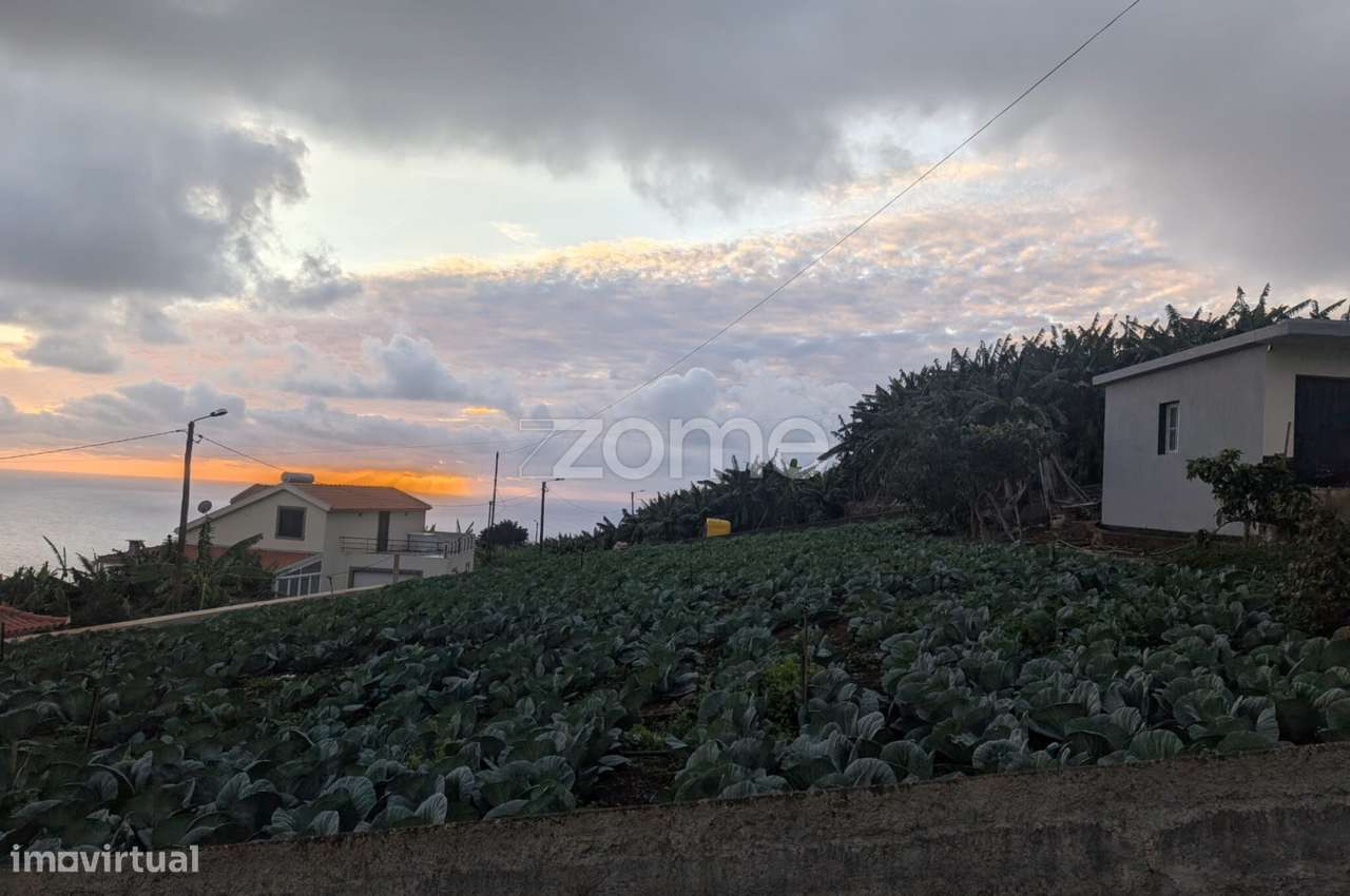 Terreno com Vista Mar e Grande Potencial de Construção | Canhas - Grande imagem: 4/11
