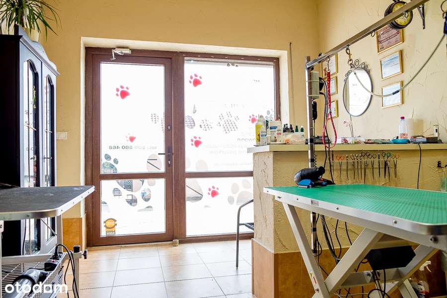 Dom Wolnostojący z Lokalem Usługowym – Komorniki, ul. Wiosenna-17