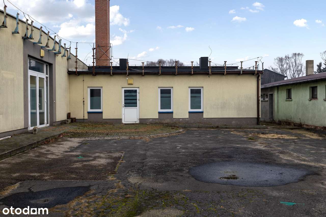 10 000  m2  w centrum Szczekocin-14