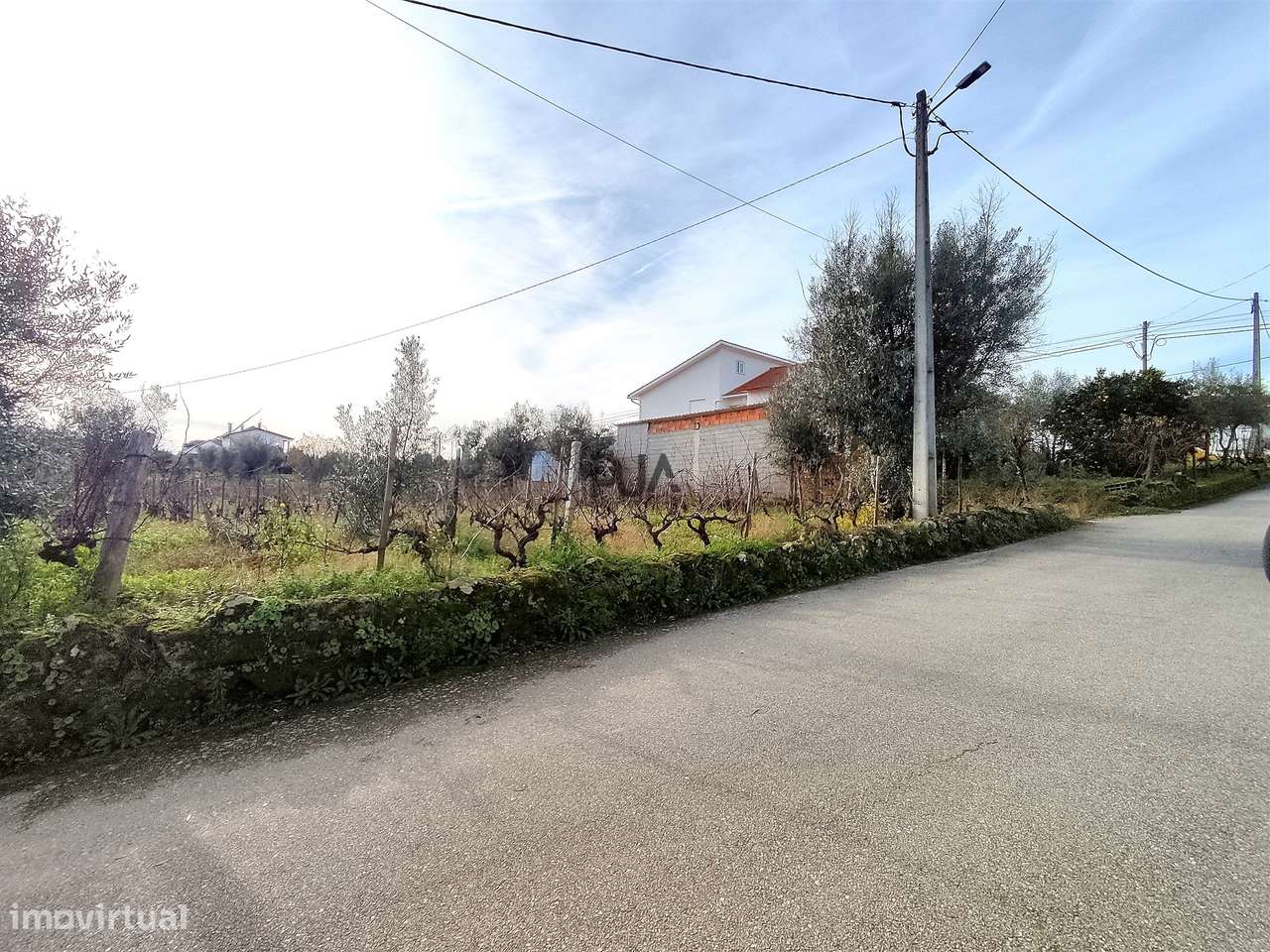 Terreno para construção com 1800m2 em Penalva do Castelo - Grande imagem: 4/6