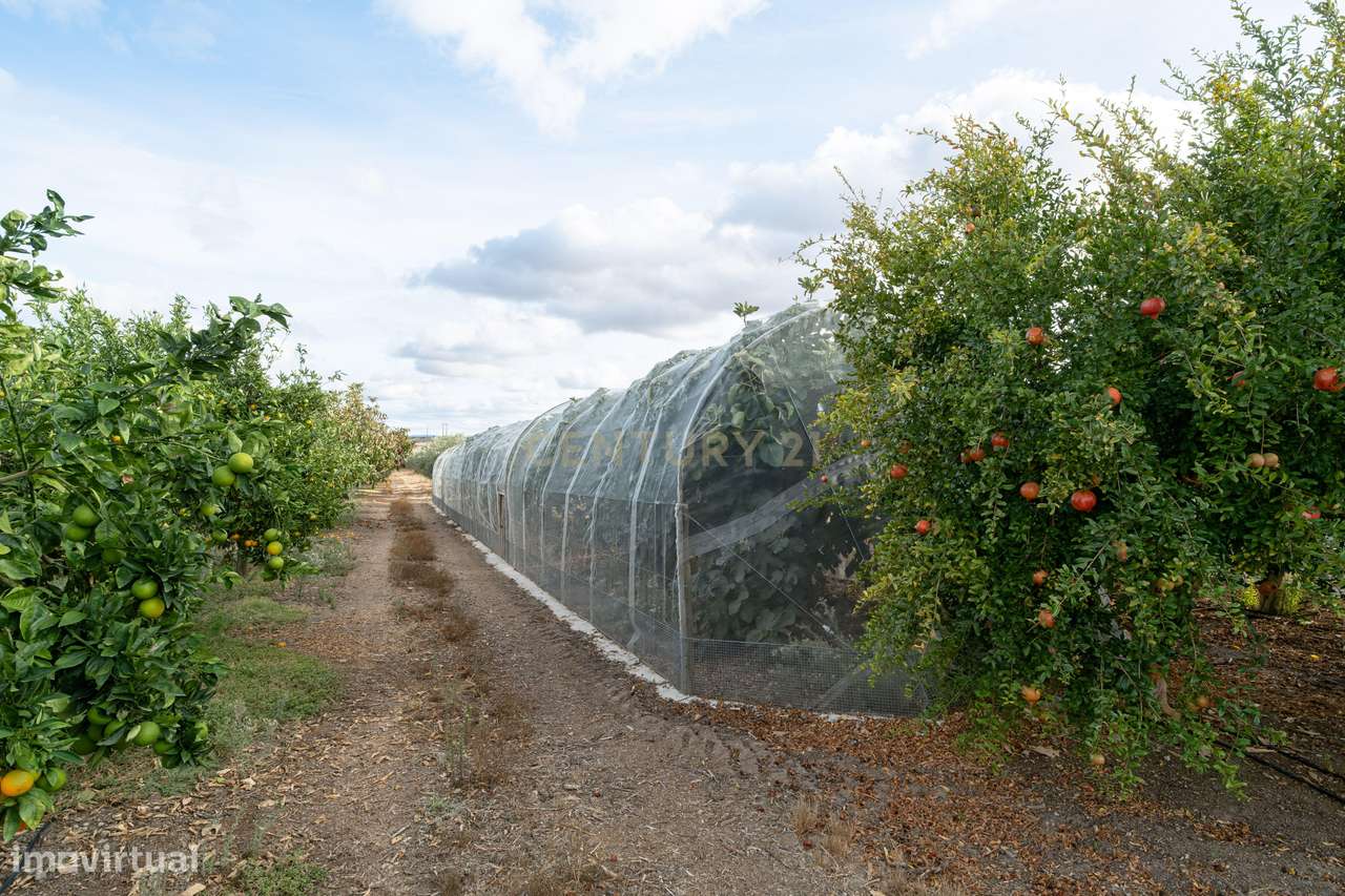 Moradia, 183 m², Amareleja-31