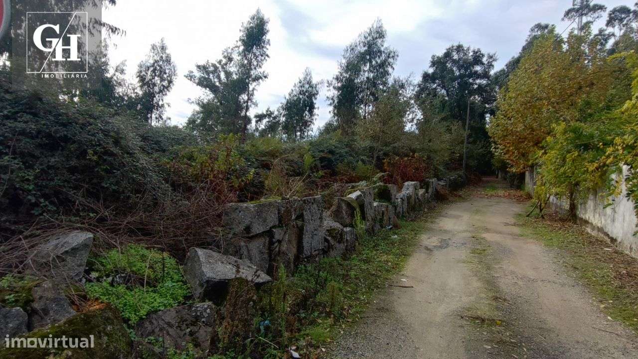 Terreno Urbano em Antas - 19.000 m² junto A3 - Grande imagem: 5/12