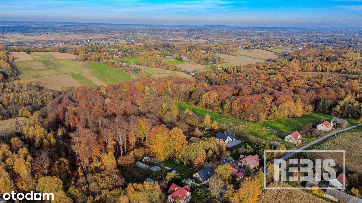 Eng| Działka Budowlano-Rolna, Tłuczań, 42a-6