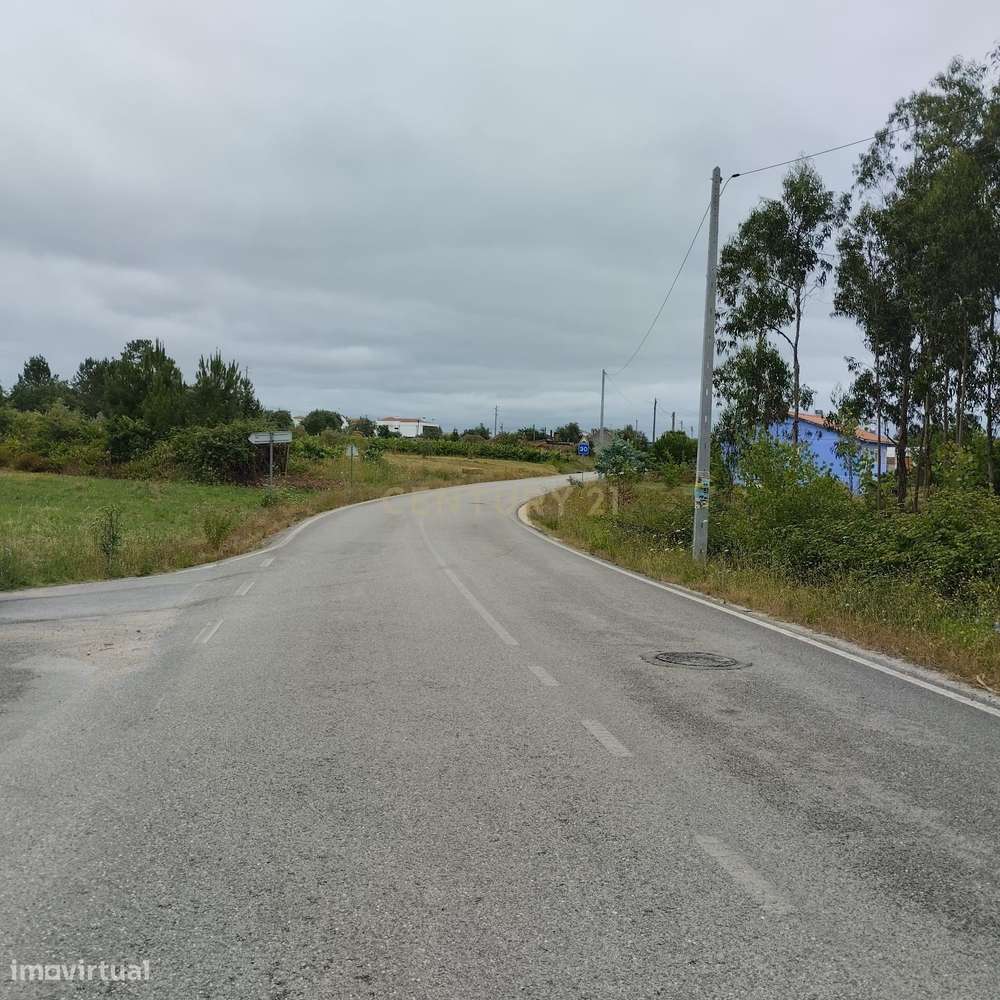 Terreno em Netos, Almagreira, Pombal, - Grande imagem: 4/19