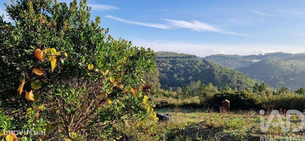 Terreno em Mafra de 5857,00 m2 - Grande imagem: 4/26
