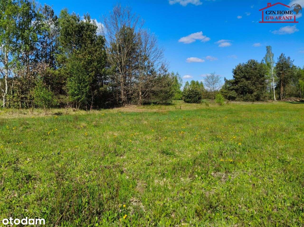 Działka, 900 m², Wola Paprotnia - Pełny obrazek: 4/8