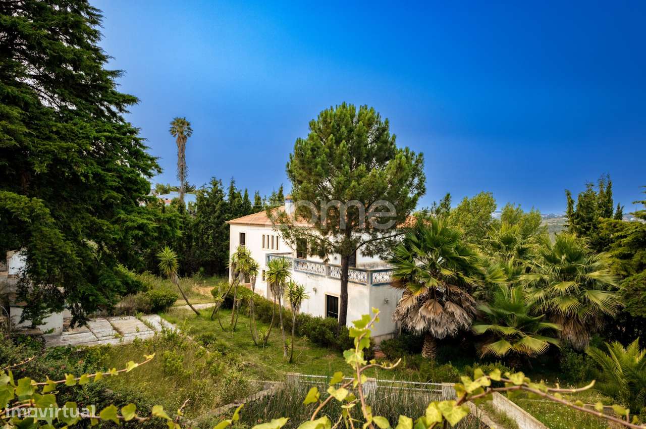 Moradia T4+1 na Carvoeira com terreno de 3437m2 - Grande imagem: 4/41