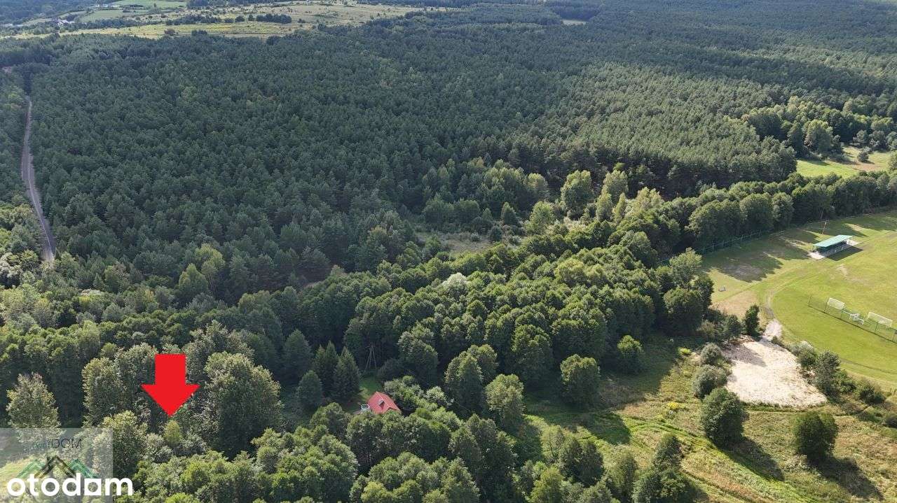 Działka pod usługi turystyki Bydlin gmina Klucze - Pełny obrazek: 5/6