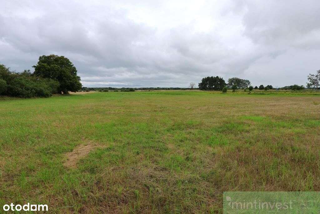 Działka rolna 4,86 ha Żarnowo-1