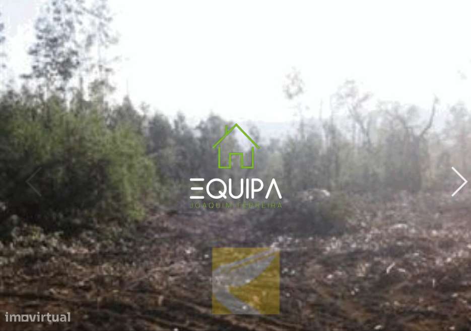 Terreno Rústico Monte Córdova- St. Tirso - Grande imagem: 5/6