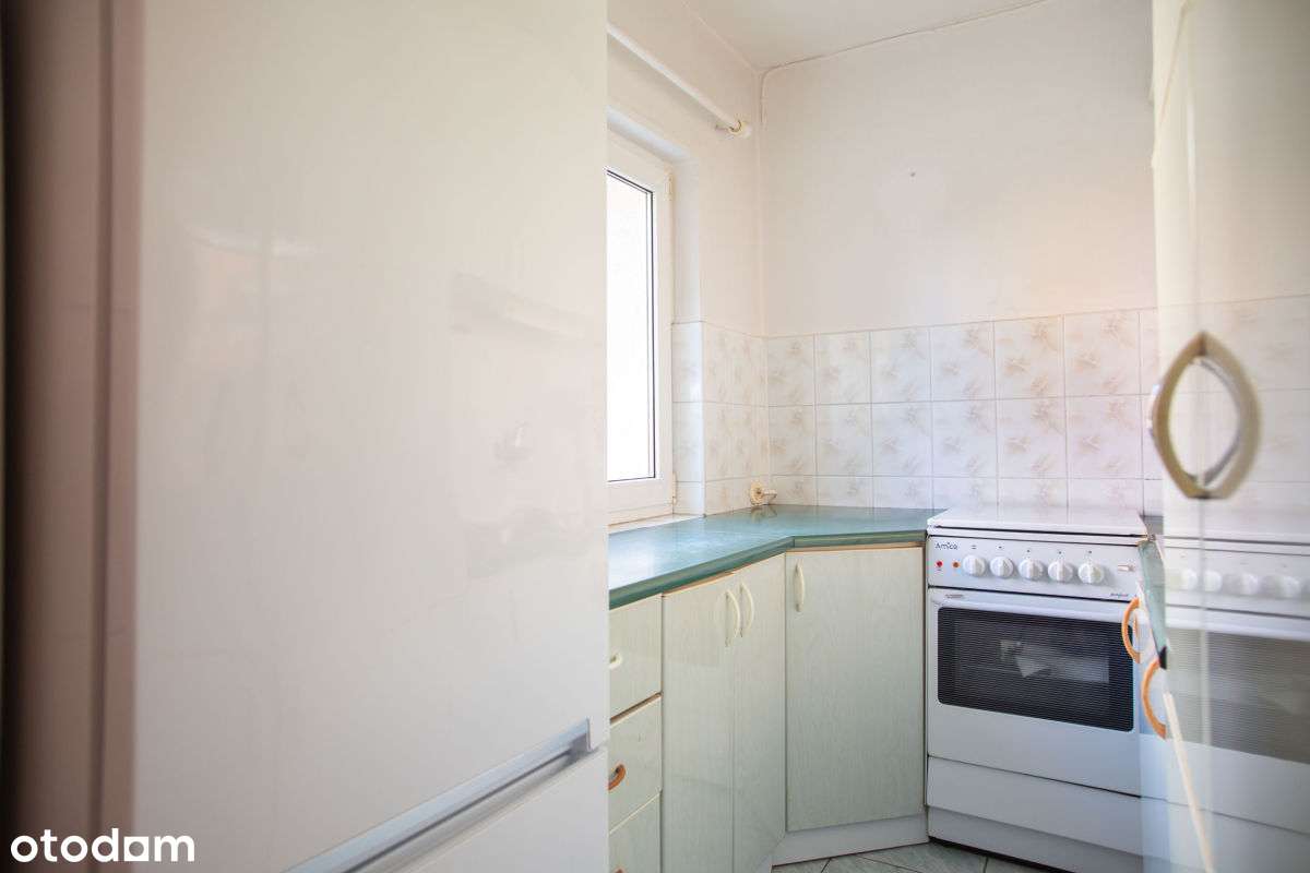 Mieszkanie blisko Lasku Marcelińskiego Grunwald-7