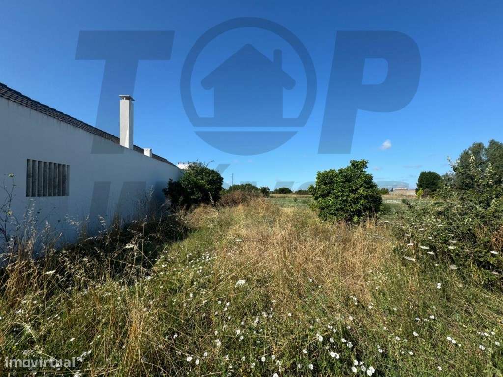 Terreno com 2 frentes - Centro de Marinhais - 110.000€ - Grande imagem: 4/4