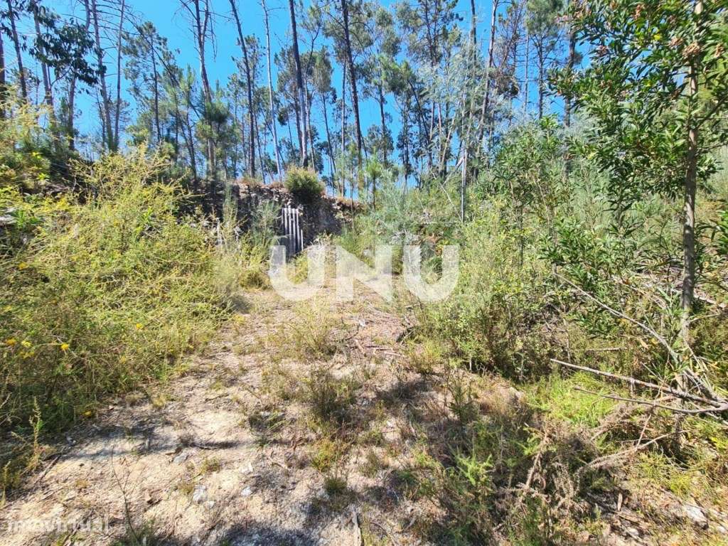 Terreno em Zona Urbanizável - Vistas Fantásticas - Grande imagem: 4/11