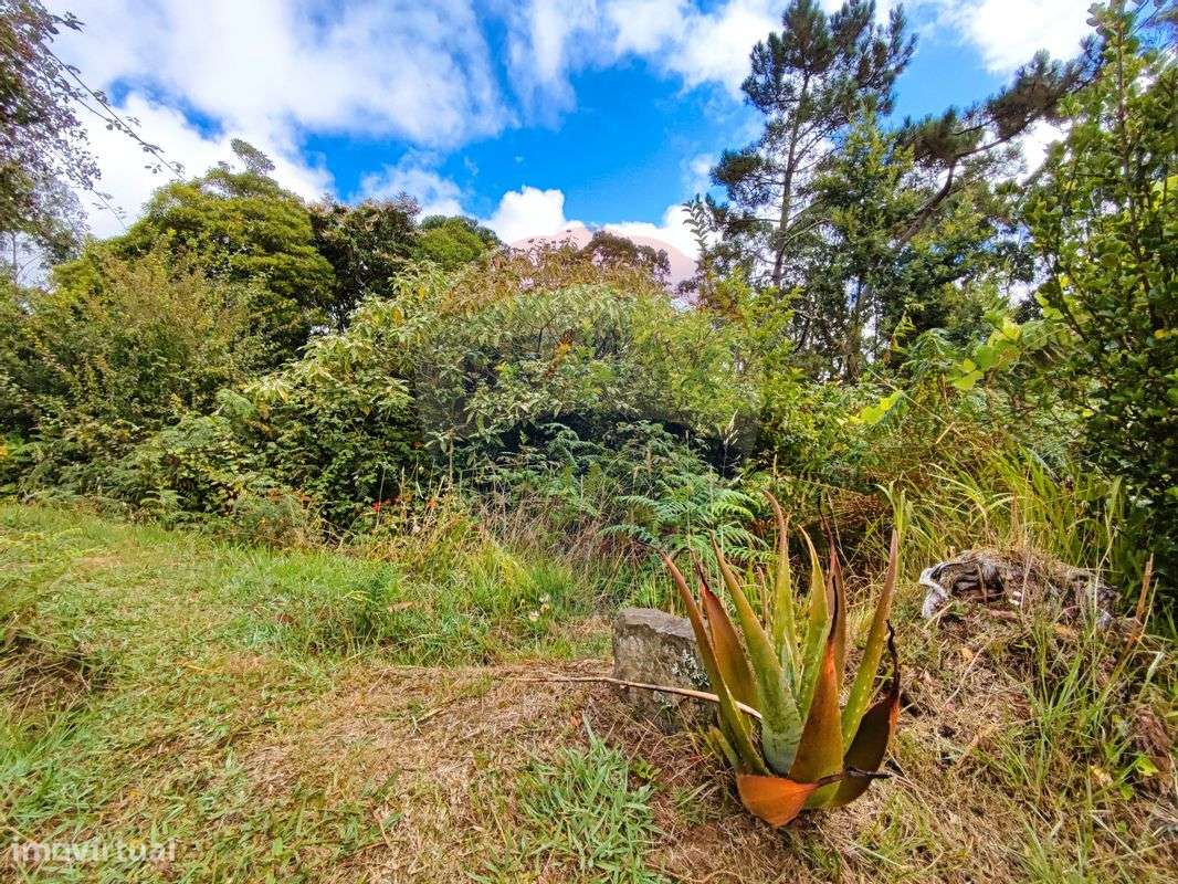 Terreno  para venda - Grande imagem: 5/11