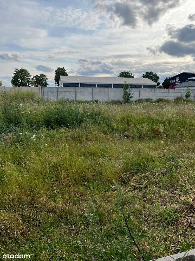 Działka w Wilkowicach k.Leszna