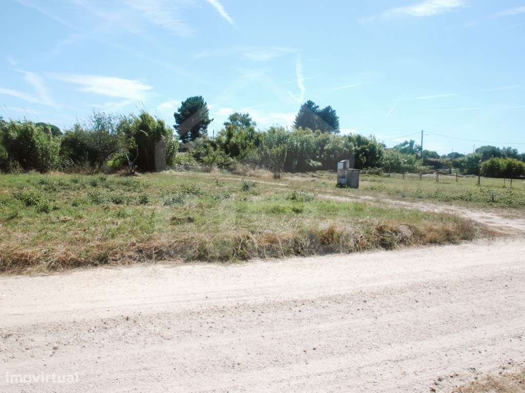 Quinta T4 nos Foros da Branca-41