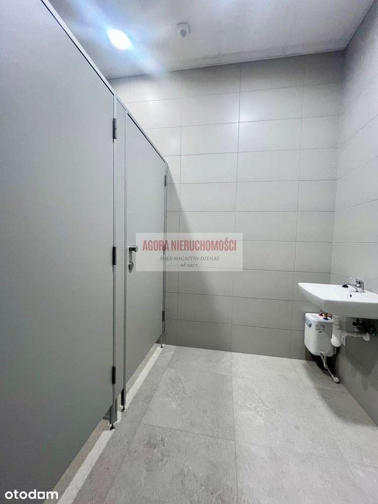 Magazyn 1910 m2 Balice 2 doki + brama "0" 18 zł/m2 - Pełny obrazek: 5/6