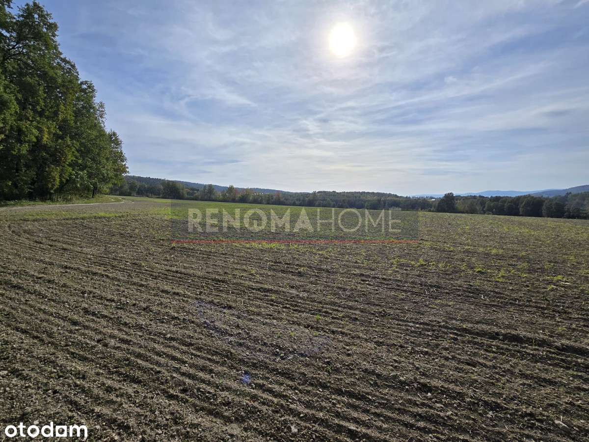 Duża Działka Rolna - Pełny obrazek: 4/13