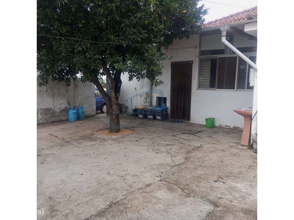 Moradia térrea em Riachos - Grande imagem: 5/18