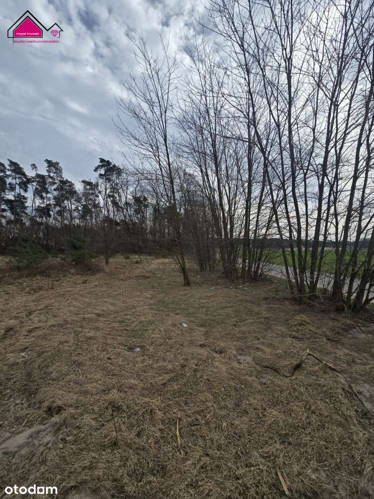 Działka z własnym lasem blisko centrum Konina-8