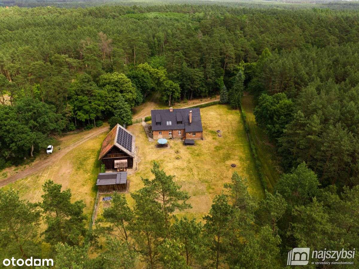 Dom z duszą w lesie na polanie. - Pełny obrazek: 4/20