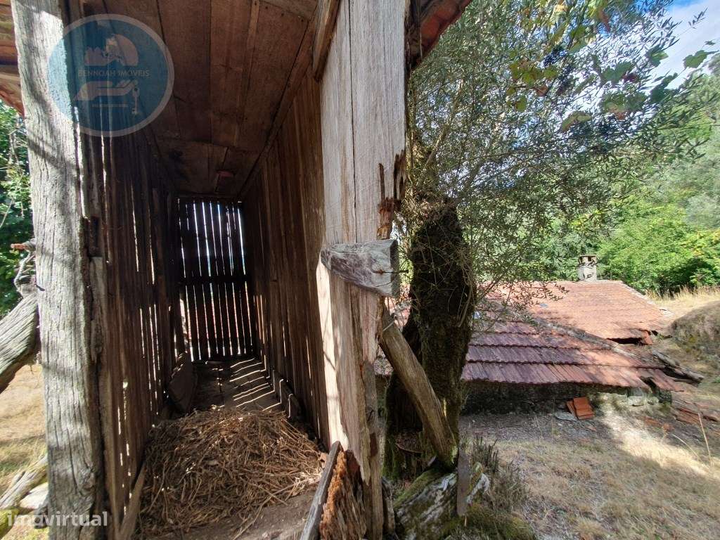 Quinta à venda para restauro em Arroteia freguesia de Rossas-15