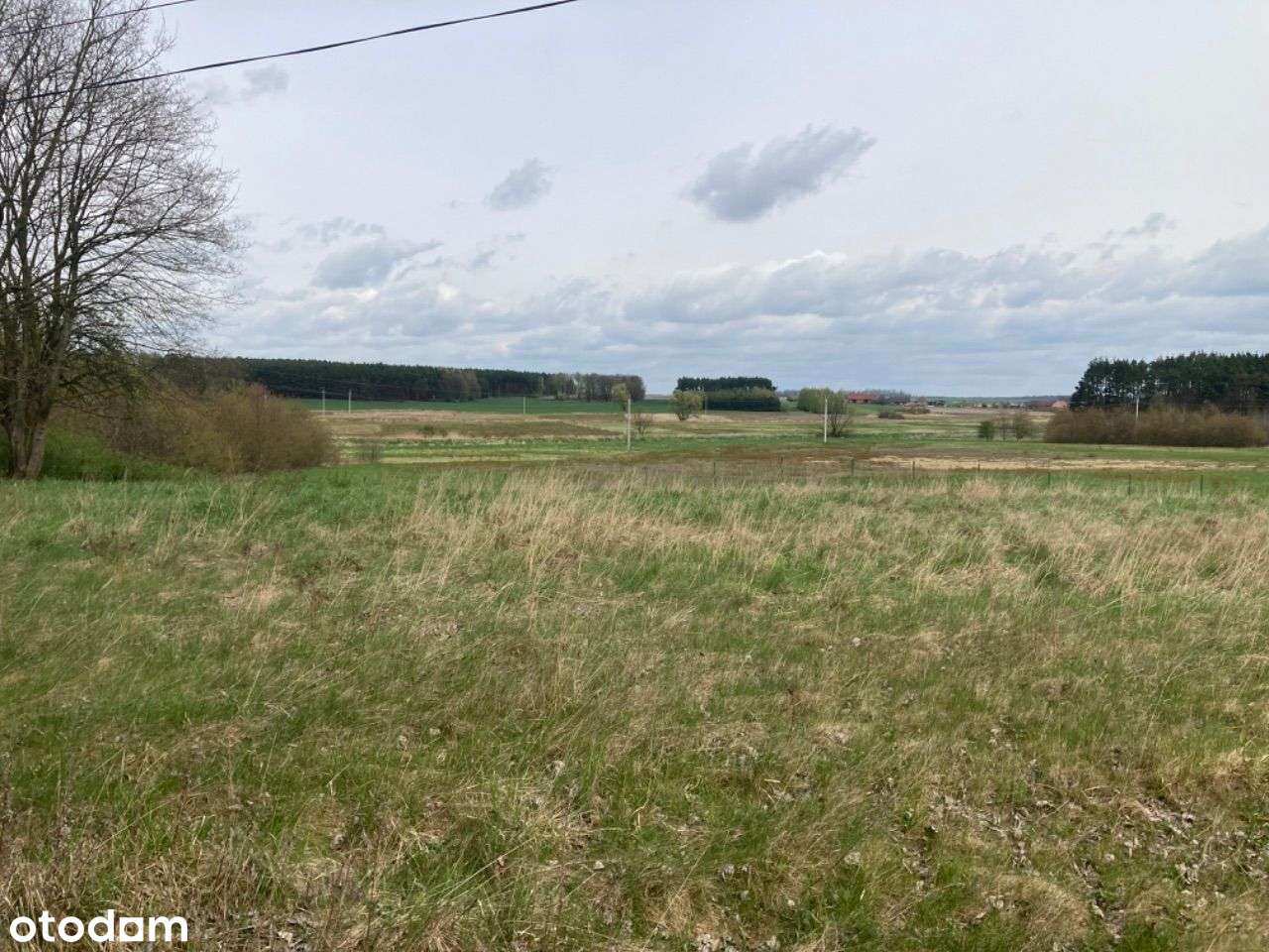 Działka budowlana Wierzchy - Pełny obrazek: 1/1