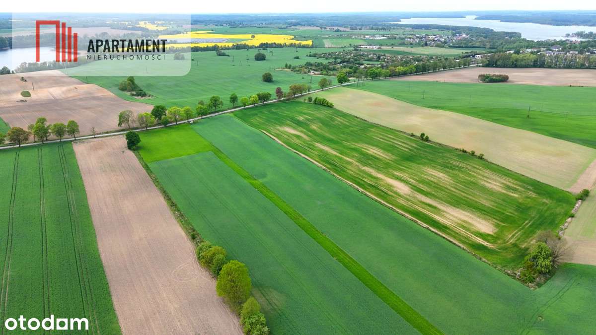 Obniżka ceny!Działki idealne pod przyszłą zabudowę - Pełny obrazek: 2/7